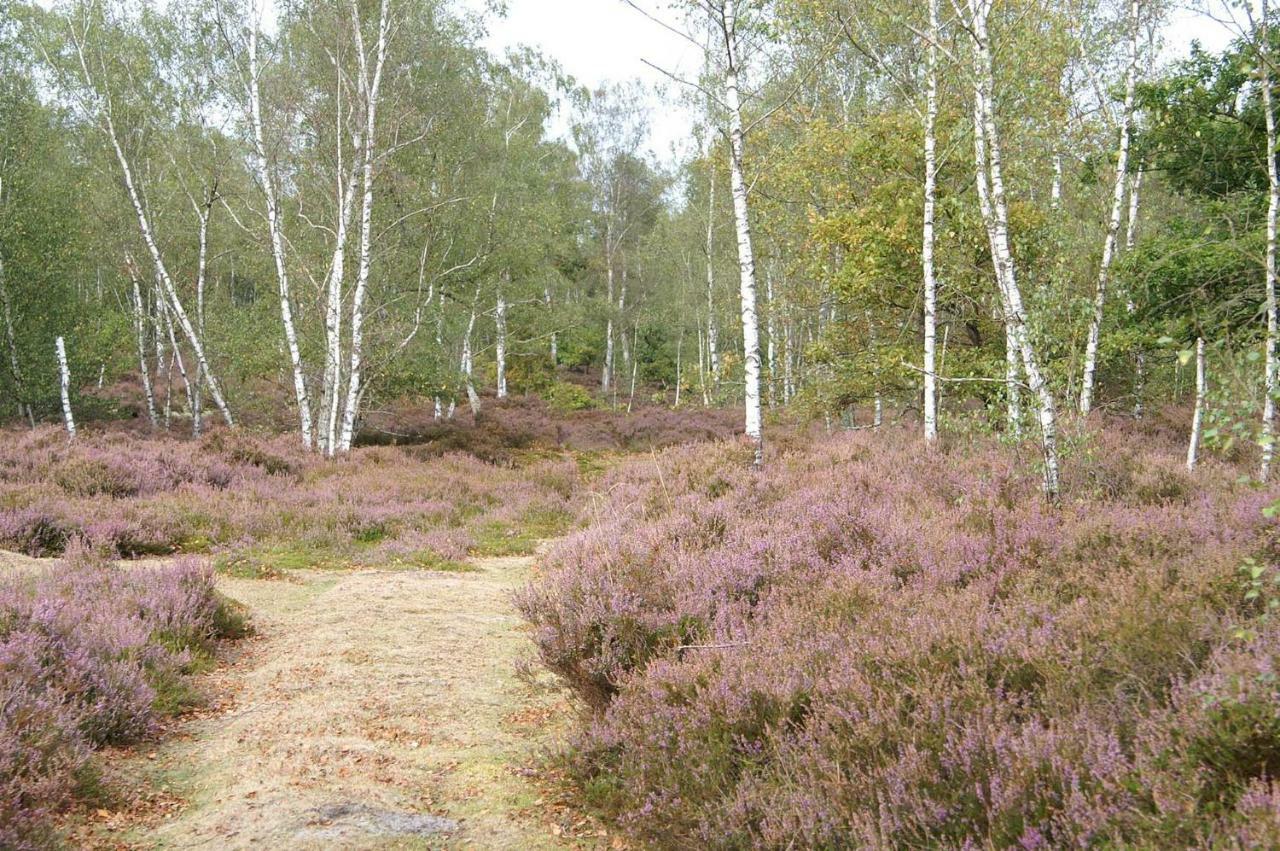 Le Lodge Des Bruyeres Mont-Notre-Dame Eksteriør bilde