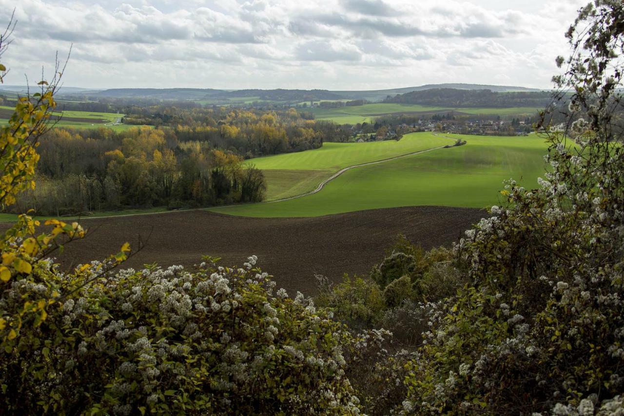 Le Lodge Des Bruyeres Mont-Notre-Dame Eksteriør bilde